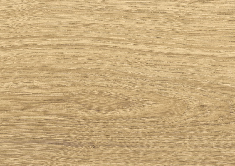 Dąb Delicato D40394