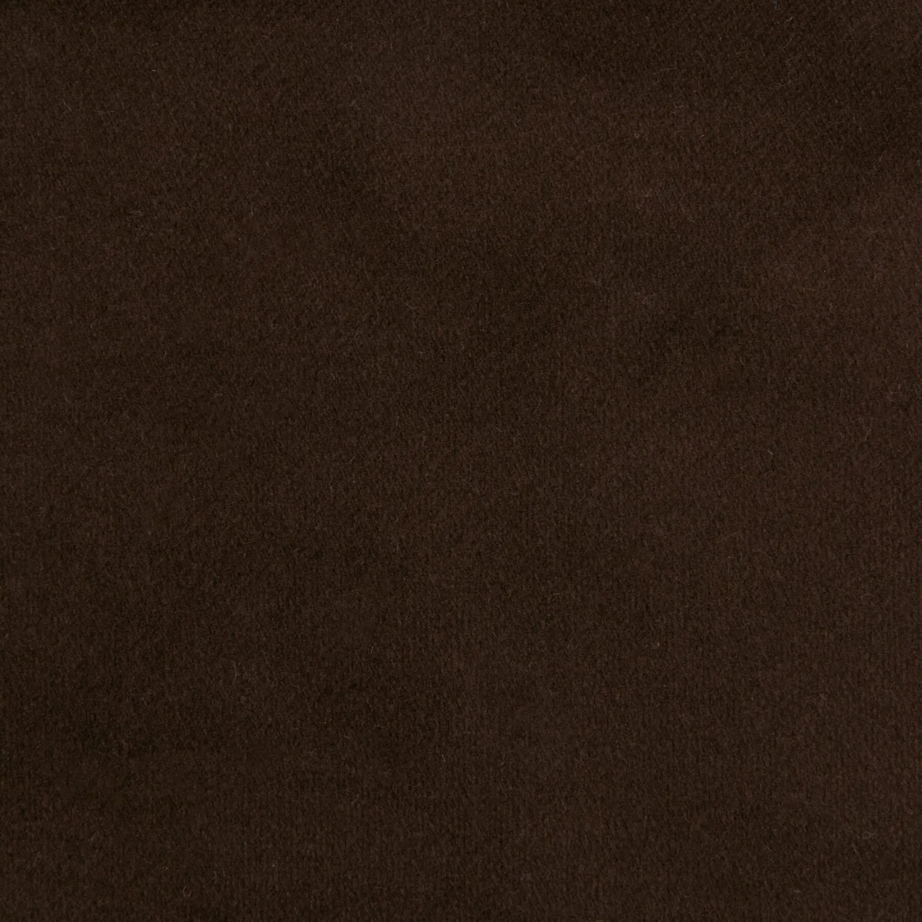 Velvet Dreams 302