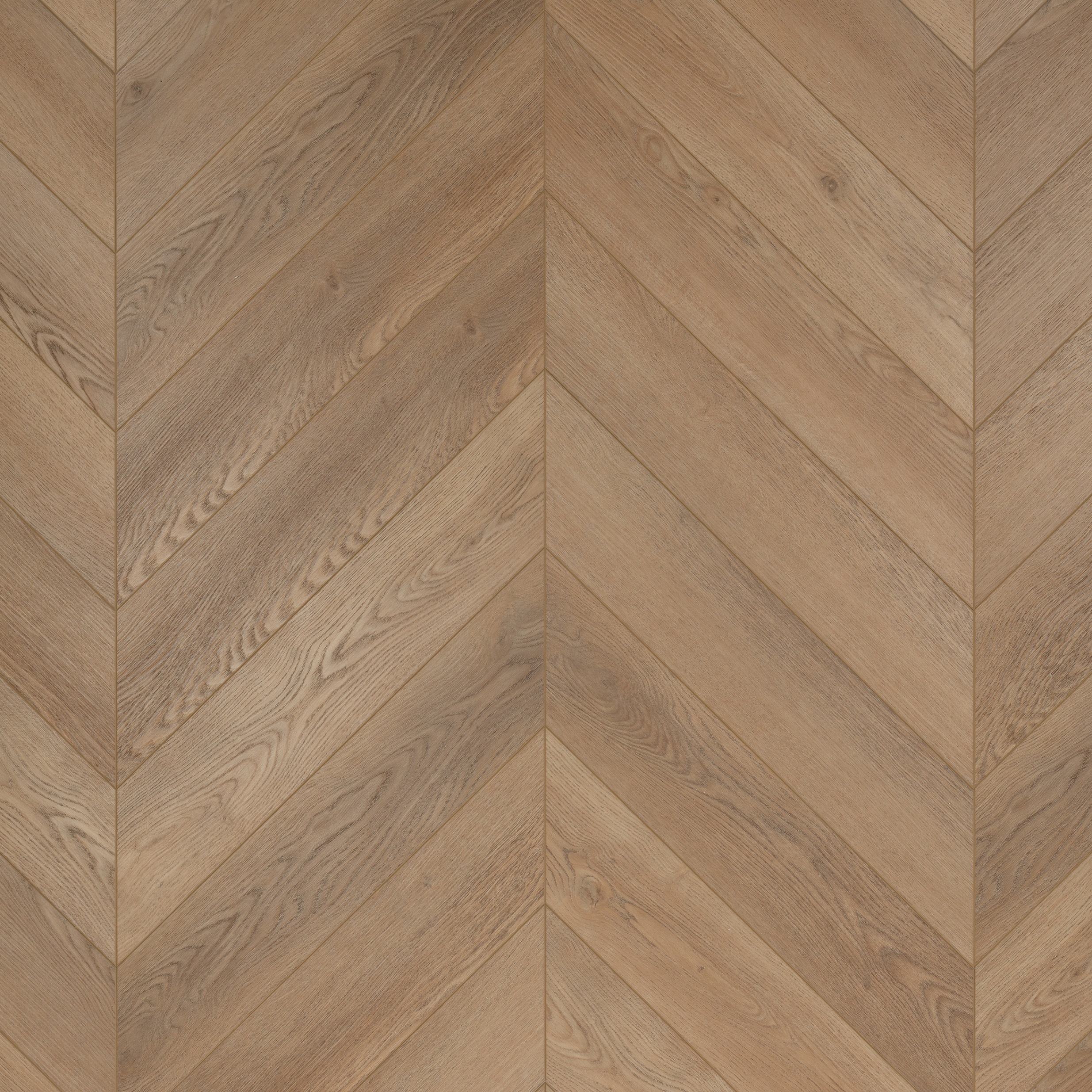 Adduri A+B Chevron Dąb Kashmir BLAD-3520C