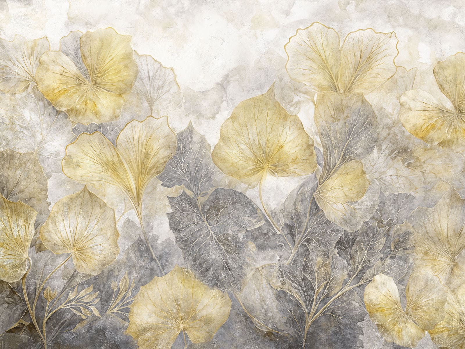 Clematis 935312402