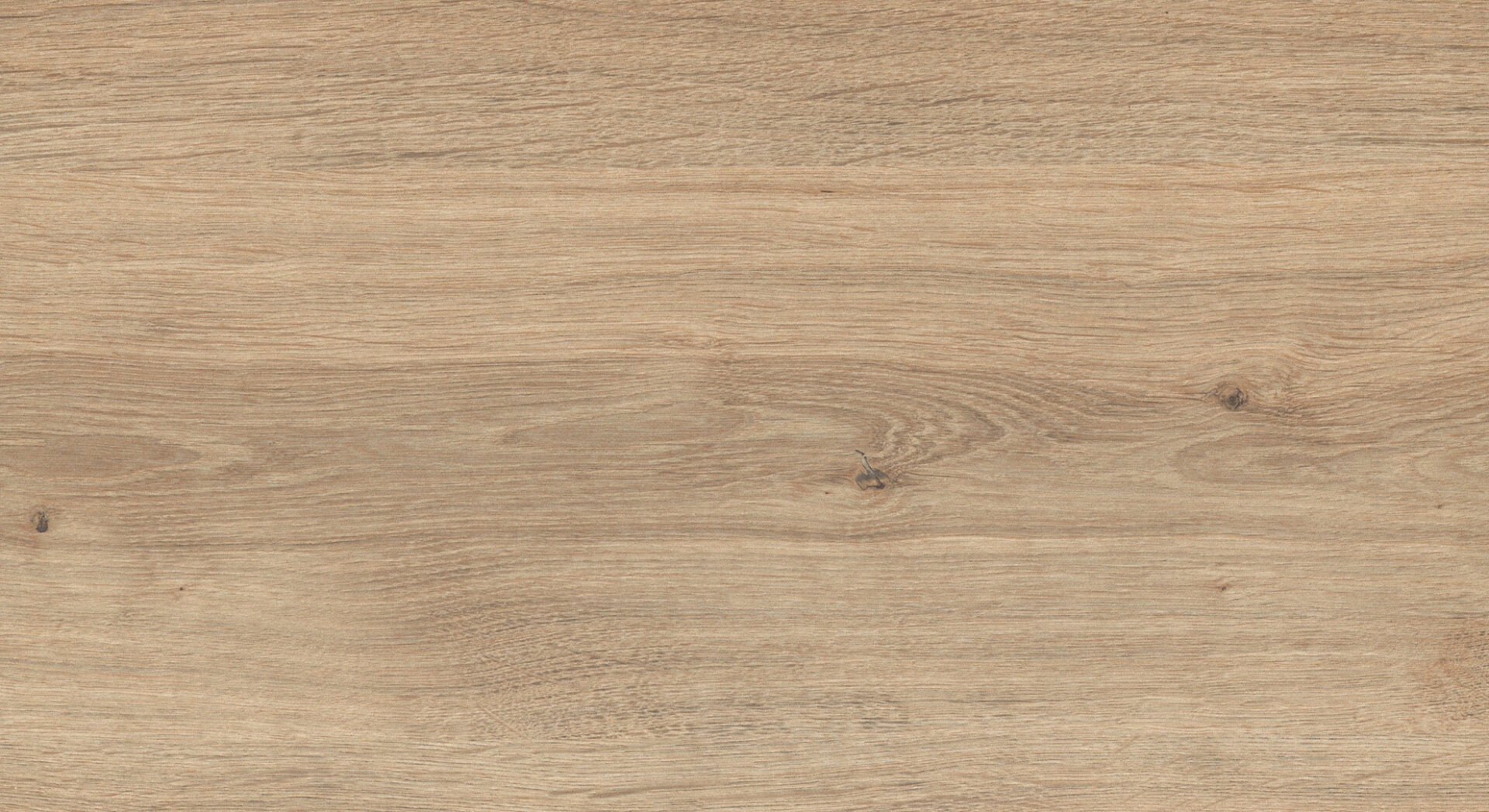 Dąb naturalny D 4428 OV