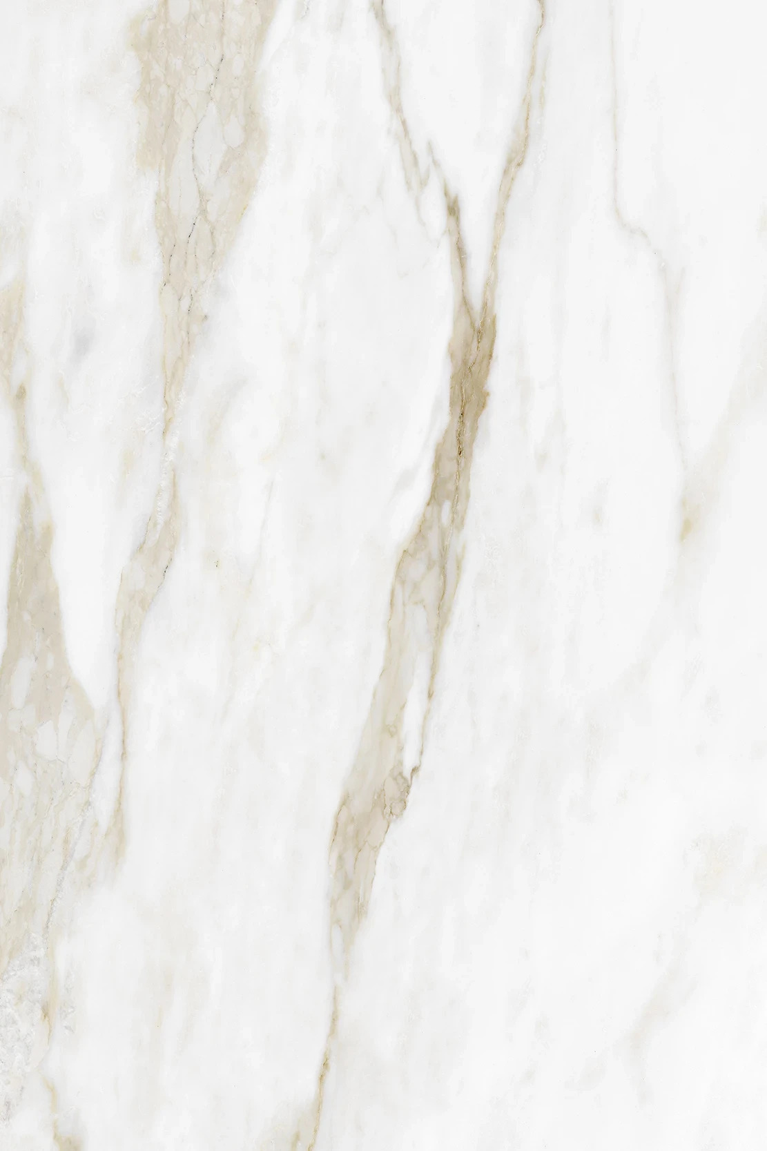 Calacatta Ambrosio K699 PN